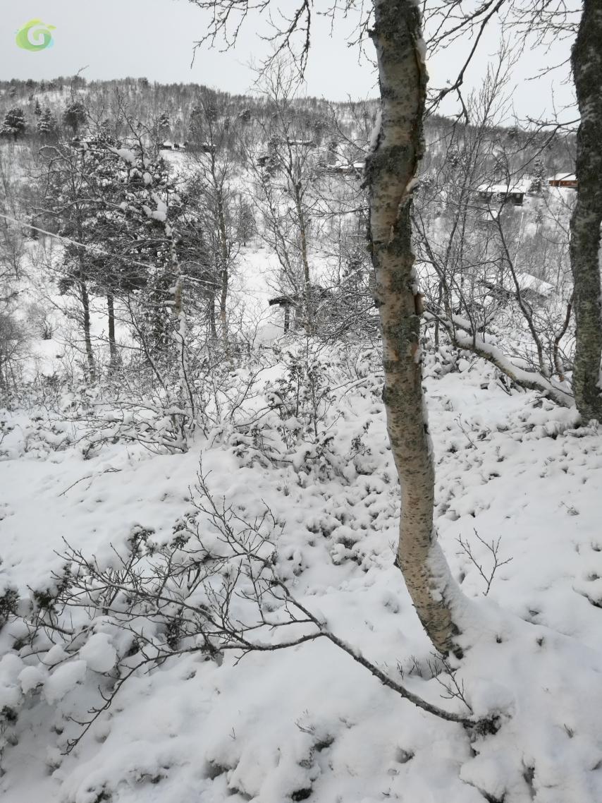 IMG_20181206_104024.jpg